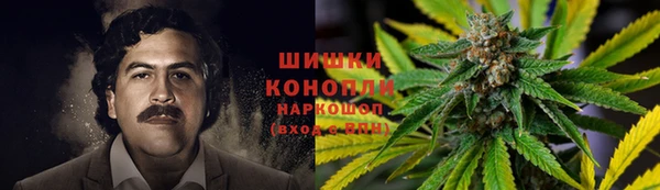 меф Арсеньев