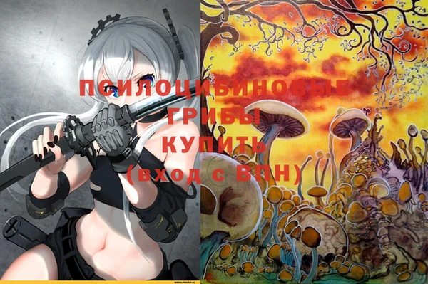 меф Арсеньев