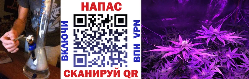 Бошки Шишки гибрид  Купить где  Нижнеудинск 